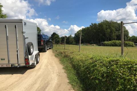 transport paardencrematorium