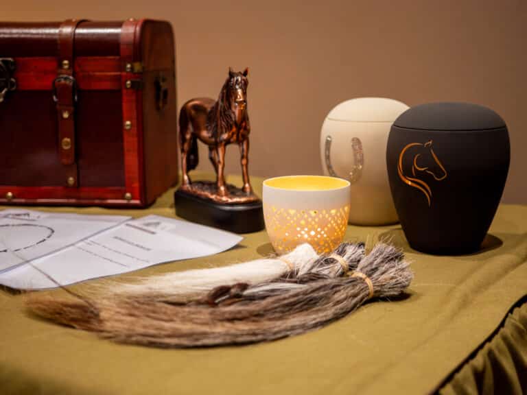 HOKASERVICE_23_FOTOS_-09