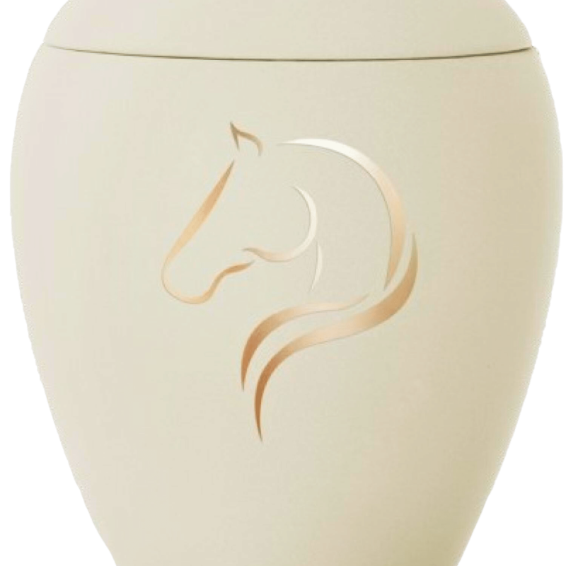 SILHOUETTE P3 - creme