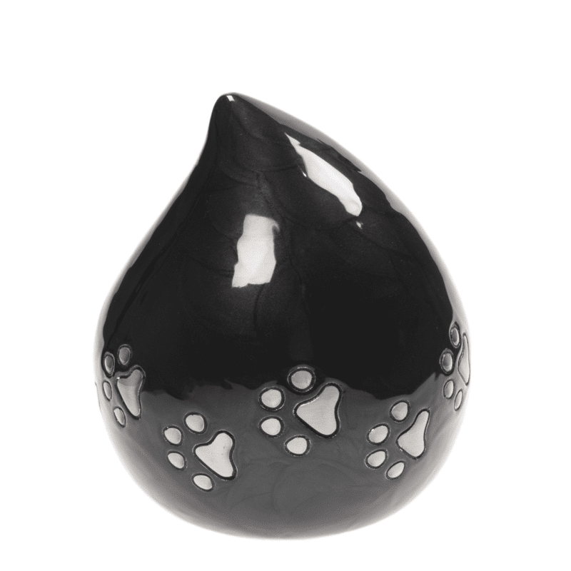 DRUPPEL MET POOTJES - ANTRACIET