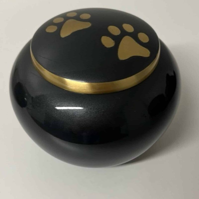 MU13 - midnight - klein, medium, groot - goud