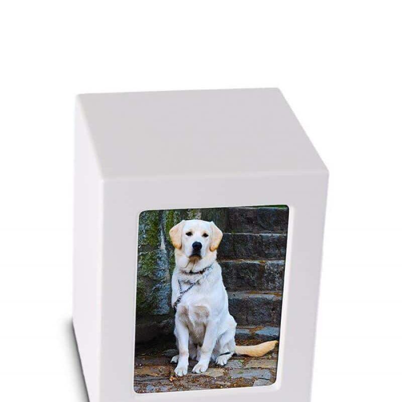FOTOBOX WIT - klein, medium, groot en maxi