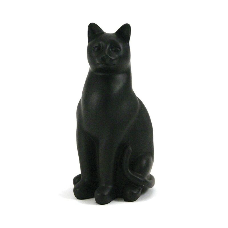 POES ZWART ZITTEND