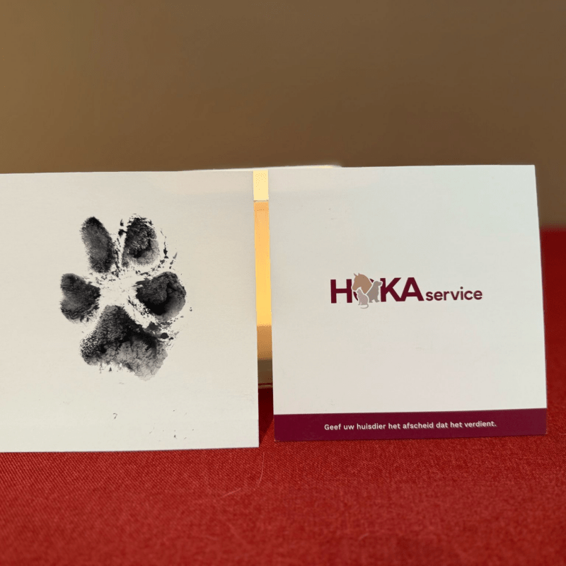 Extra kaartje afdruk