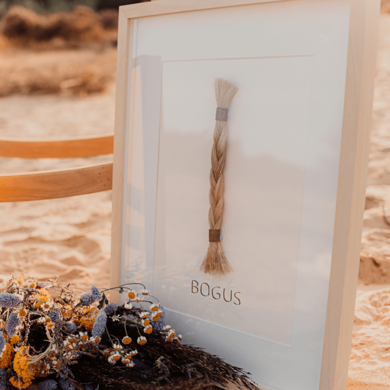 MANENKADER WIT - klein, middel en groot